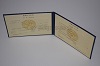 Стоимость диплома техникума УзбекАССР 1975-1991 г. в Циолковском (Амурская Область)