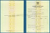Стоимость Свидетельства о Повышении Квалификации 1997-2018 г. в Зее (Амурская Область)