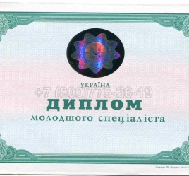 Диплом Техникума Украины 2010г в Благовещенске
